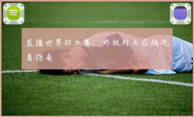 直播世界杯决赛:终极对决在线观看指南